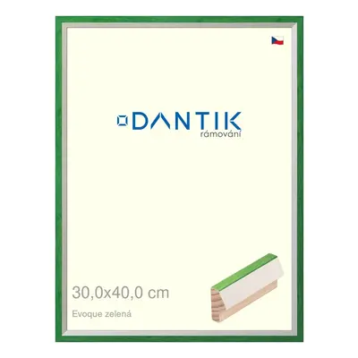 DANTIK rámeček 30x40 | EVOQUE zelená (Plexi Čiré)