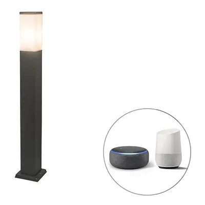 Chytrá venkovní lampa stožár tmavě šedá 80 cm včetně Wifi P45 - Malios