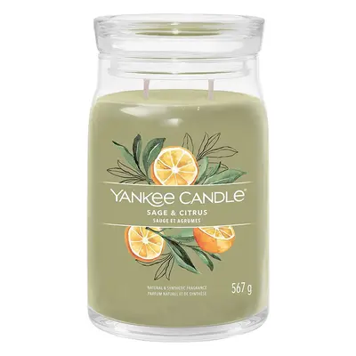 Yankee Candle vonná svíčka Signature ve skle velká Sage & Citrus 567g