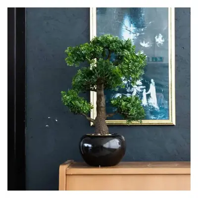 Emerald Umělý fíkus mini bonsai zelený 47 cm 420006