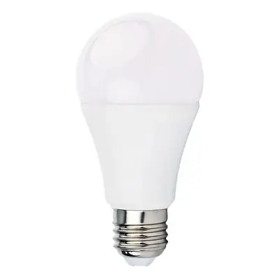 ECOLIGHT LED žárovka - E27 - 10W - 24V - neutrální bílá