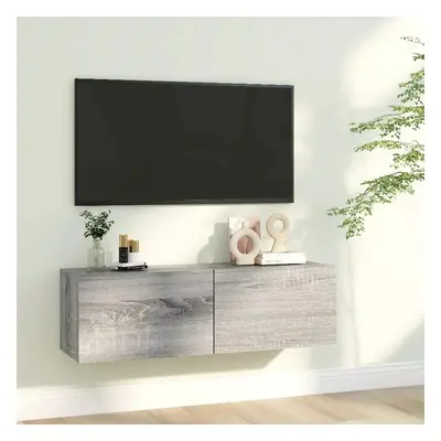 TV skříňka šedá sonoma 100 x 30 x 30 cm kompozitní dřevo