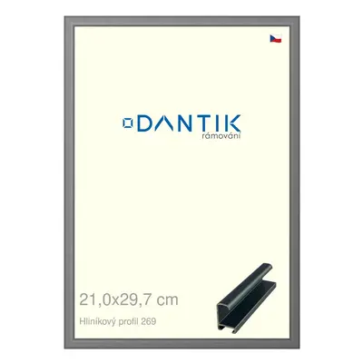 DANTIK rámeček 21x29,7 | ALU profil 7269 Platina matná (Sklo Čiré)