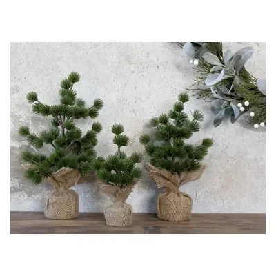 Zelený vánoční cedrový stromek v jutě Fleur Cedar Tree - 34 cm