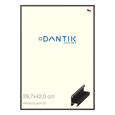 DANTIK rámeček 29,7x42 | ALU profil 6030 Dýha černá (Plexi Čiré)