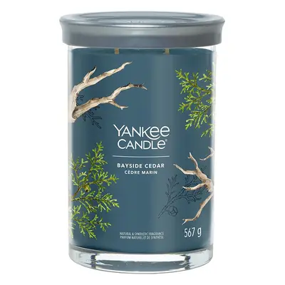 Yankee Candle vonná svíčka Signature Tumbler ve skle velká Bayside Cedar 567g