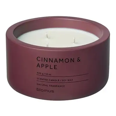 Vonná sojová svíčka doba hoření 25 h Fraga: Cinnamon & Apple – Blomus