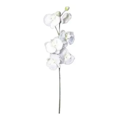 Umělá zasněžená Orchidej bílá, 81 cm