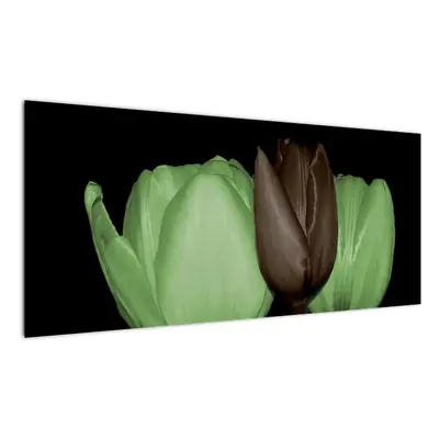 Obraz tulipánů (100x40cm)