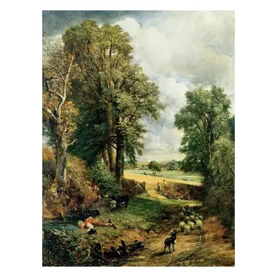 Obrazová reprodukce The Cornfield (1826), John Constable