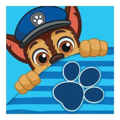 Dětský / chlapecký magický ručník Tlapková patrola - Paw Patrol - 100% bavlna - 30 x 30 cm