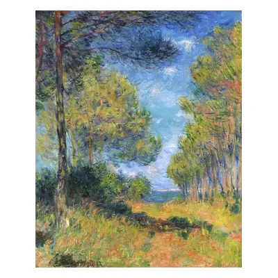 Obrazová reprodukce Allée de sapins à Varengeville, Claude Monet