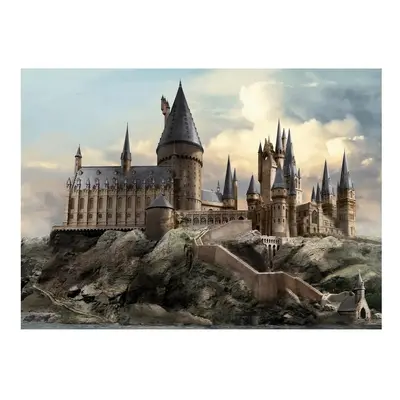 Dětská fototapeta Harry Potter Hogwarts 252 x 182 cm, 4 díly