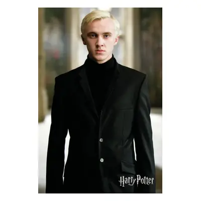 Umělecký tisk Harry Potter - Draco Malfoy