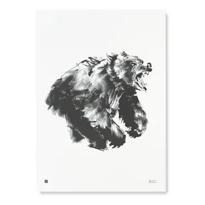 Teemu Järvi Plakát s motivem medvěda Roaring bear 50x70