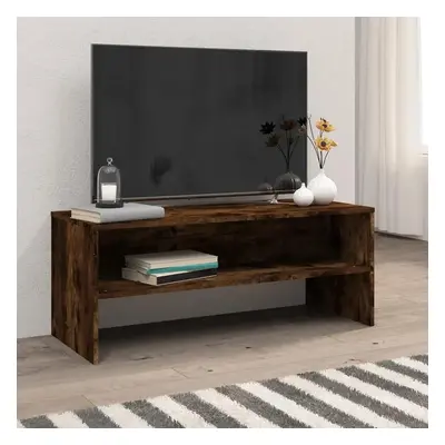 TV skříňka kouřový dub 100 x 40 x 40 cm kompozitní dřevo