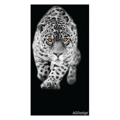 Fototapeta na zeď - FTN V 2897, Leopard, 90 x 202 cm, AG Design