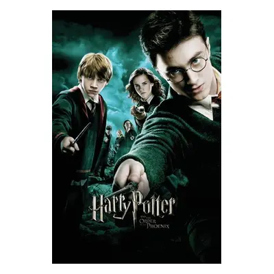 Umělecký tisk Harry Potter and The order of the Phoenix