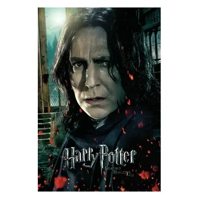 Umělecký tisk Harry Potter - Severus Snape