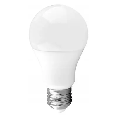 ECOLIGHT LED žárovka E27 10W 24V - studená bílá