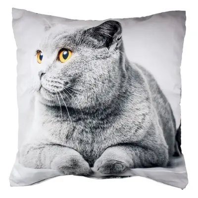 TP 3D povlak 45x45 - Grey Cat + polštář