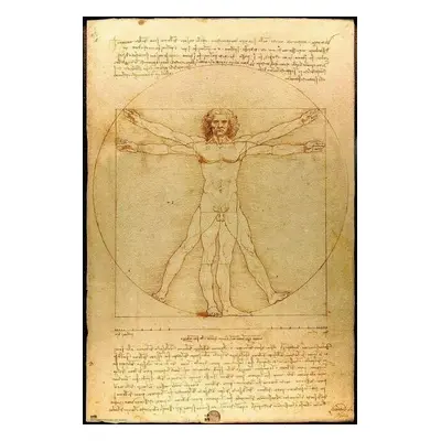 Plakát, Obraz - Vitruviánský muž, Leonardo Da Vinci