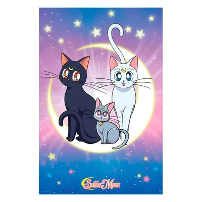 Plakát, Obraz - Sailor Moon - Luna, Artemis & Diana