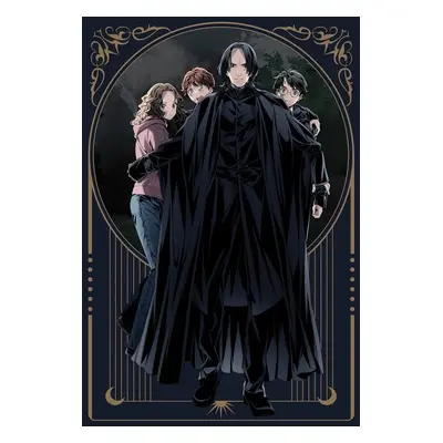 Umělecký tisk Harry Potter - Snape the Protector