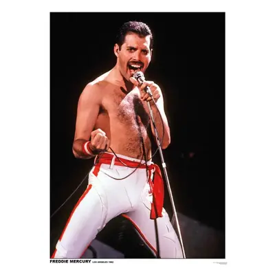 Plakát, Obraz - Queen (Freddie Mercury) - Los Angeles 1982