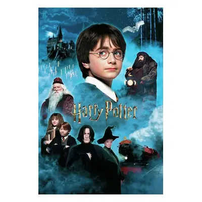 Umělecký tisk Harry Potter - Kámen mudrců