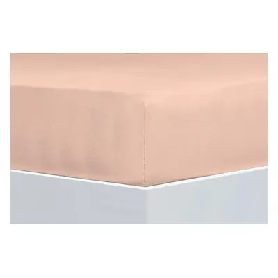 Florella Prostěradlo Avance Jersey 45 Rosé, 140-160x200 cm