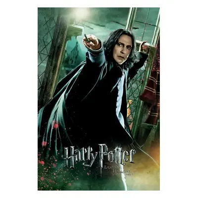 Umělecký tisk Harry Potter - Relikvie smrti - Snape