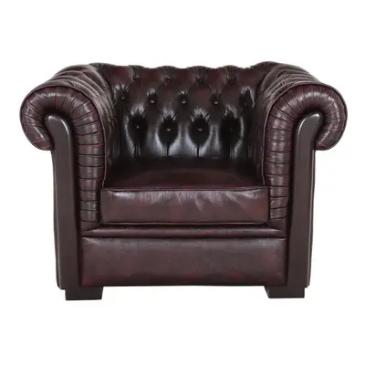 furniture-nabytek.cz - Křeslo Chesterfield