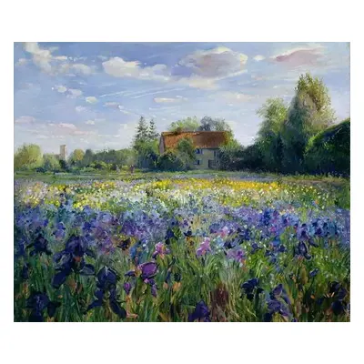 Obrazová reprodukce Evening at the Iris Field, Timothy Easton