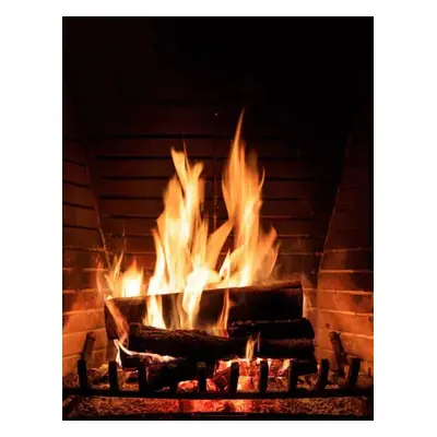 Fotografie Fireplace burning wood logs, cozy warm home christmas time, Rawf8