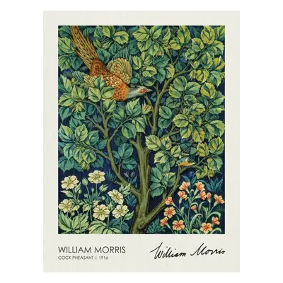 Obrazová reprodukce The Pheasant (1916), William Morris