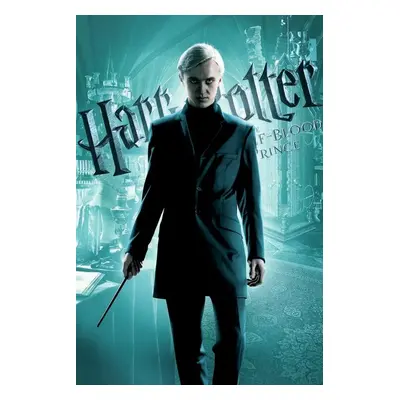 Umělecký tisk Harry Potter - Draco Malfoy