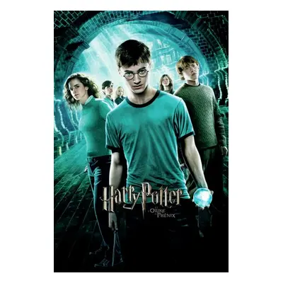 Umělecký tisk Harry Potter - Fenixův řád