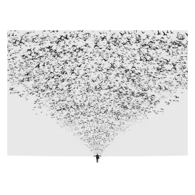 Fotografie The Dark Half, Hossein	Zare