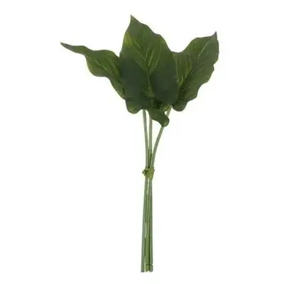 3 okrasné listy Philodendron II - 30cm