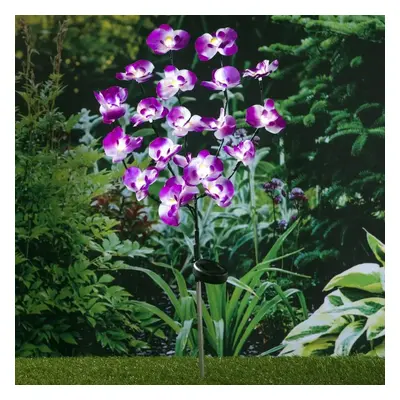 HI Solární LED světlo v designu orchidejí 75 cm