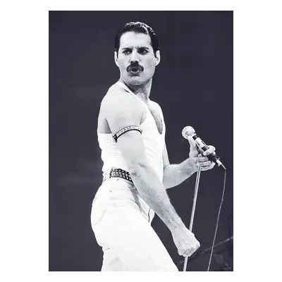 Plakát, Obraz - Freddie Mercury - Live Aid