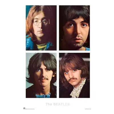 Plakát, Obraz - The Beatles - White Album