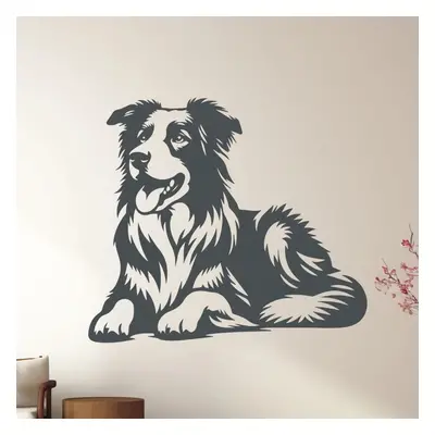 dřevo života Dřevěná dekorace psa BORDER COLLIE Rozměry (cm): 40x34, Zvolte barvu dekoru: Antrac