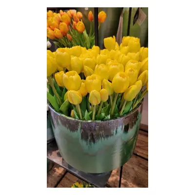 Kytice 7ks žlutých realistických tulipánů - 31cm