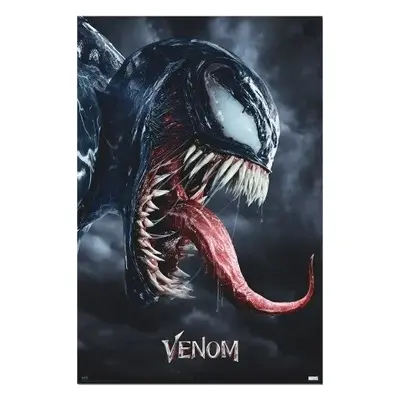 Plakát, Obraz - Venom - Legacy