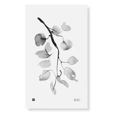 Plakát Birch Branch 30x50