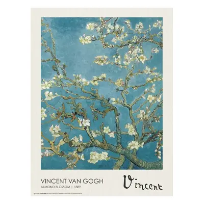 Plakát, Obraz - Almond Blossoms, Vincent van Gogh