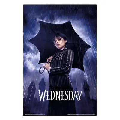 Plakát, Obraz - Wednesday - Umbrella