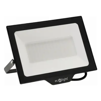 ECOLIGHT LED reflektor 100W 2v1 - studená bílá